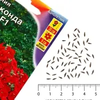 Семена цветов Петуния &laquo;Джоконда мини&raquo;, F1, алая, 5 шт., Farao, &laquo;АЭЛИТА&raquo;