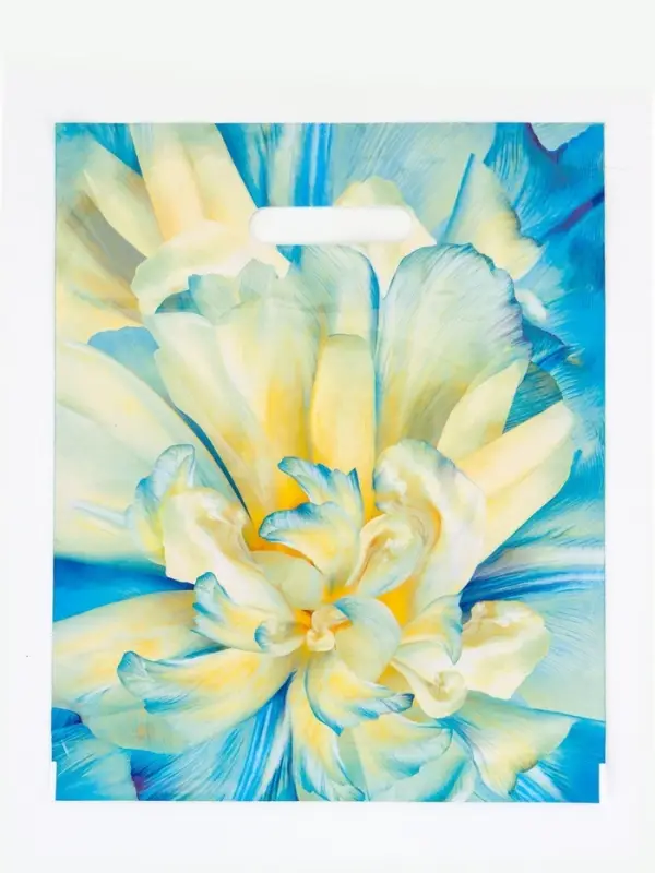 Пакет Пакет "Молли", полиэтиленовый с вырубной ручкой, 30х37 см, 90 мкм