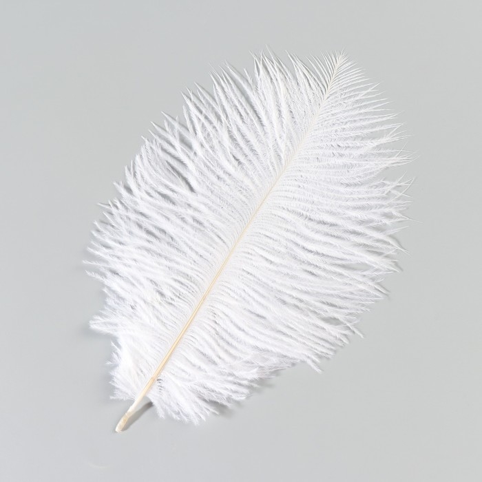 Перо страуса 15-20 см, белый