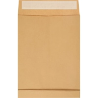 Пакет крафт E4 стрип Extrapack 300х400х40 120г 25шт/уп/6589