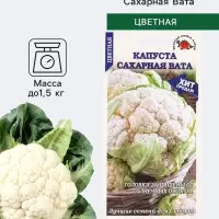 Семена Капуста цветная &laquo;Сахарная Вата&raquo;, 0.1 г, среднеранняя &laquo;Золотая Сотка Алтая&raquo;