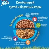 Влажный корм Felix Природа вкуса для кошек, лосось, 75 г