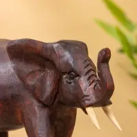 Сувенир "Слон" дерево Суар, 24х11х16 см, цв. тёмно-коричневый