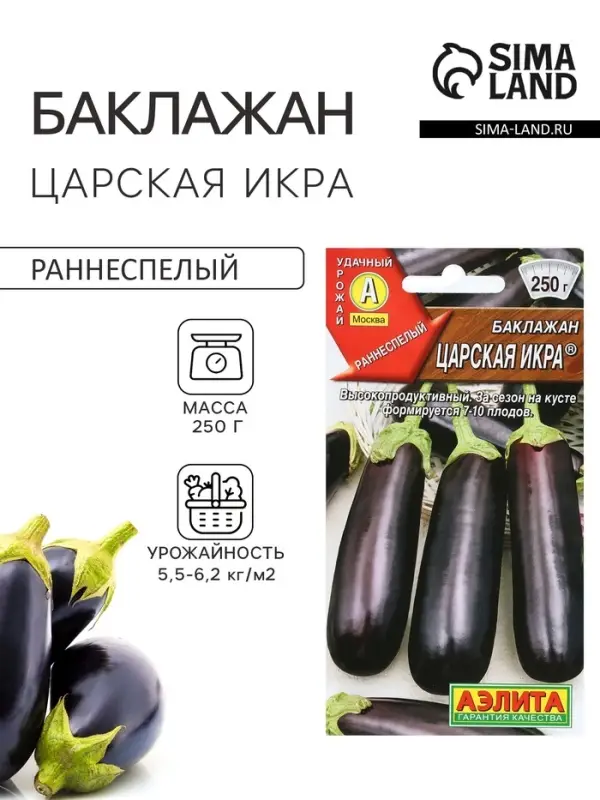 Семена Баклажан &laquo;Царская икра&raquo;, 0.1 г