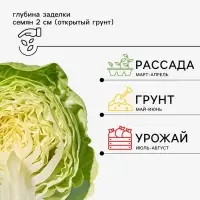 Семена Капуста цветная &laquo;Каспер Р3&raquo;, F1.10 шт., &laquo;Престиж семена&raquo;