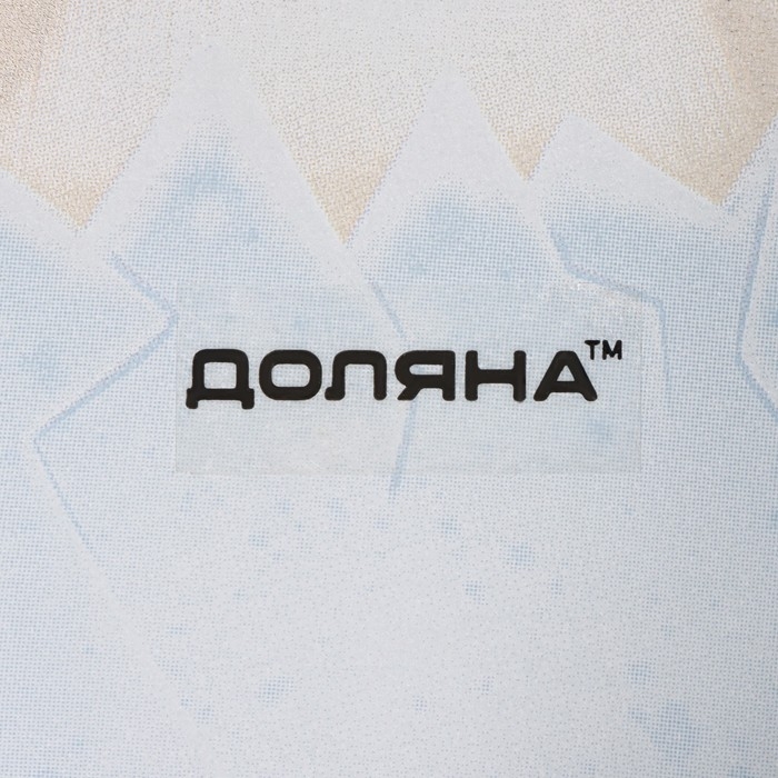 Блюдо стеклянное сервировочное Доляна «Пасхальный кролик», 21×13,5×1,8 см Блюдо стеклянное сервировочное Доляна «Пасхальный кролик», 21×13,5×1,8 см