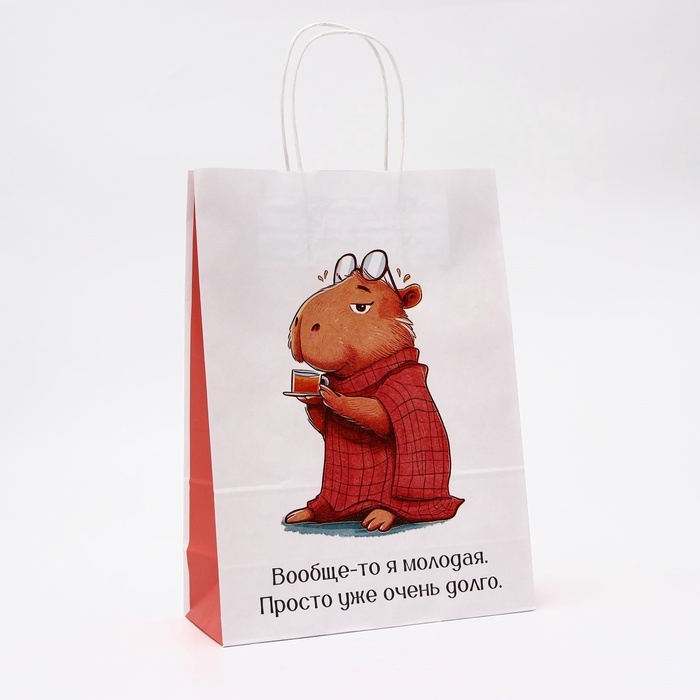 Пакет бумажный, Пакет бумажный, "Молодая", 24 х 10,5 х 32 см 1 шт