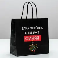 Пакет подарочный новогодний &laquo;А ты уже синяя&raquo;, 22&times;22&times;11 см