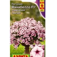 Семена цветов Петуния мини Минибелло F1 сиреневая звезда многоцветковая (драже) С. Farao, Ц/П,5 шт. Семена цветов Петуния мини Минибелло F1 сиреневая звезда многоцветковая (драже) С. Farao, Ц/П,5 шт.