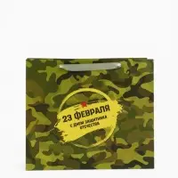 Пакет подарочный вертикальный &laquo;23 февраля&raquo;, ML 23&times;27&times;11.5 см