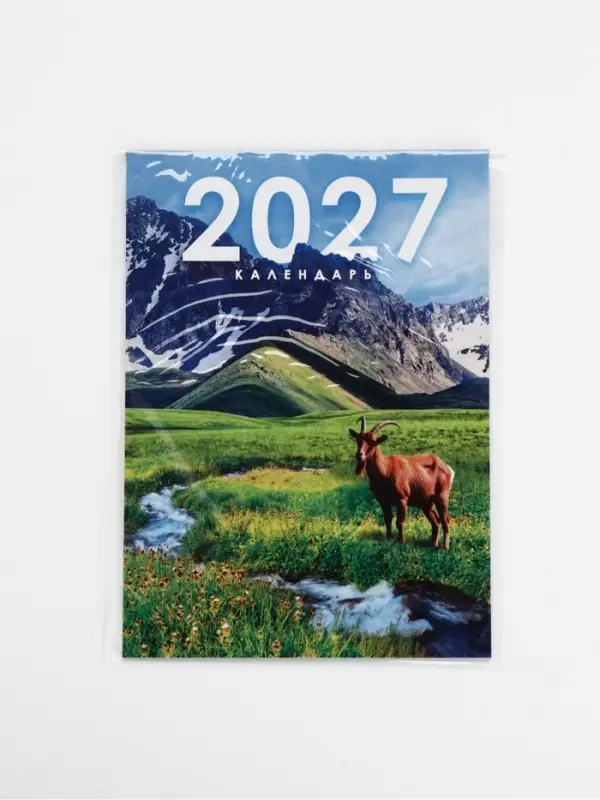 Календарь 2027, отрывной на магните &laquo;Фантазийный&raquo; 9.5&times;13 см