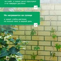 Сетка садовая, 2&times;10 м, ячейка ромб 6&times;6 мм, от птиц, пластиковая, зелёная, Greengo