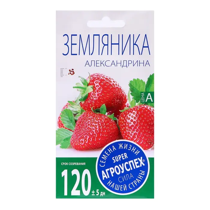 Семена Земляника  Семена Земляника "Александрина" средняя, 0,05 г