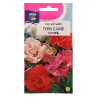 Семена цветов Цв Бальзамин "Том Самб", Смесь,0,2 гр Семена цветов Цв Бальзамин "Том Самб", Смесь,0,2 гр