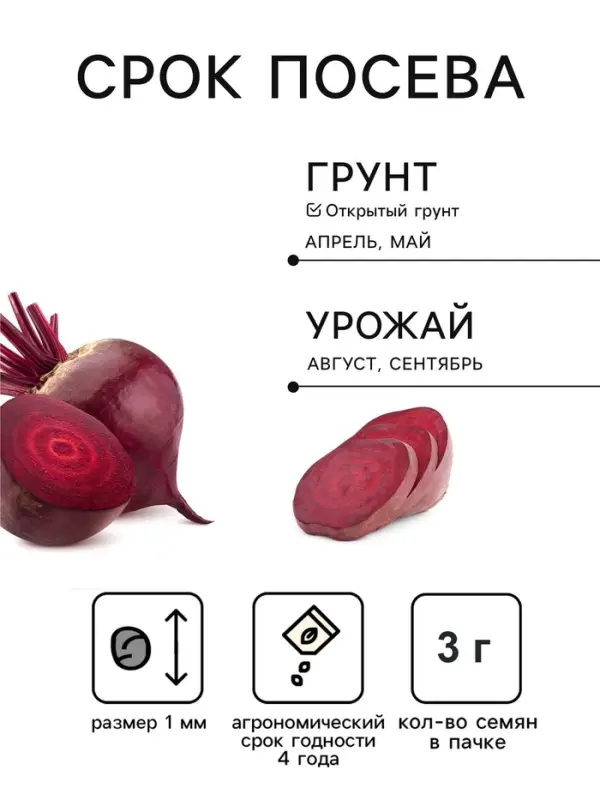 Семена Свекла &laquo;Цилиндра&raquo; 2 г, серия ХИТ х3