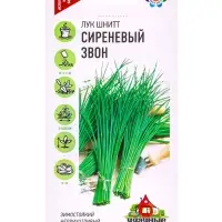Семена Лук шнитт &laquo;Сиреневый звон&raquo;, 0.5 г, &laquo;Гавриш&raquo;