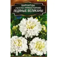 Семена цветов Бархатцы Ледяные великаны прямостоячие Золотая серия, Ц/П,7 шт. Семена цветов Бархатцы Ледяные великаны прямостоячие Золотая серия, Ц/П,7 шт.
