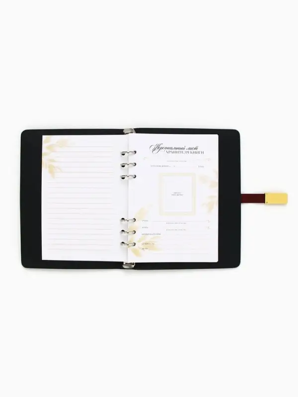 Родословная книга со встроенной флешкой 16 Gb &laquo;Книга всей семьи&raquo;, 17.5&times;23 см