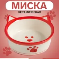 Миска для кошек &laquo;Подмигивающий кот&raquo;, 200 мл, 11&times;11&times;4 см, керамика, белая, красная