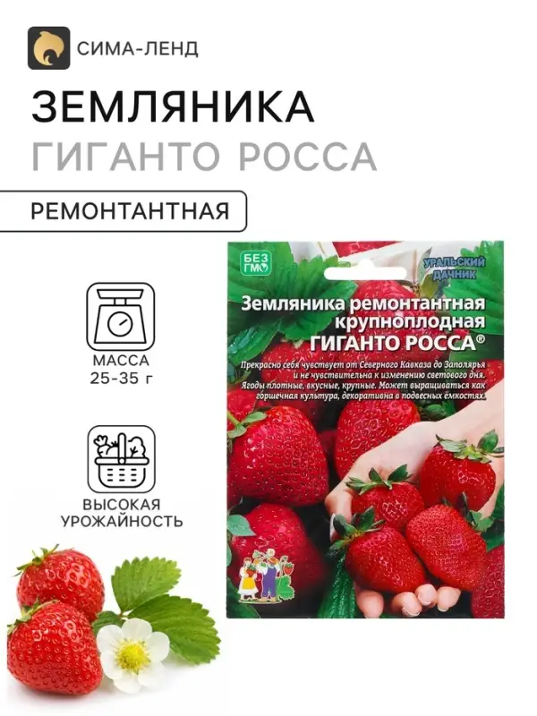 Семена Земляника &laquo;Гиганто Росса&raquo;, 10 шт., ремонтантная, крупноплодная, &laquo;Уральский дачник&raquo;