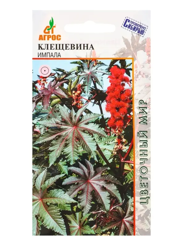 Семена Клещевина Семена Клещевина "Импала" 4 шт