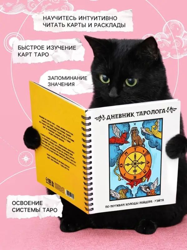 Дневник таролога, твёрдая обложка, 20&times;20 см, 85 л. &laquo;Фортуна&raquo;