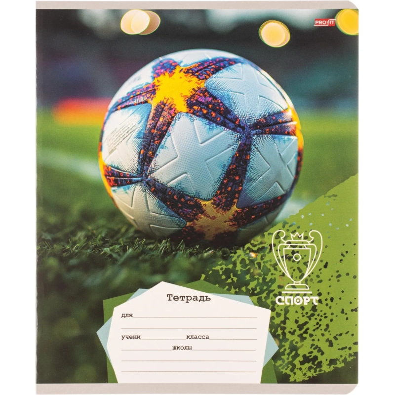 Тетрадь КЛЕТКА 18л. РАЗНЫЕ МЯЧИ-2 обл.-мел.карт,ассорти 18-4313