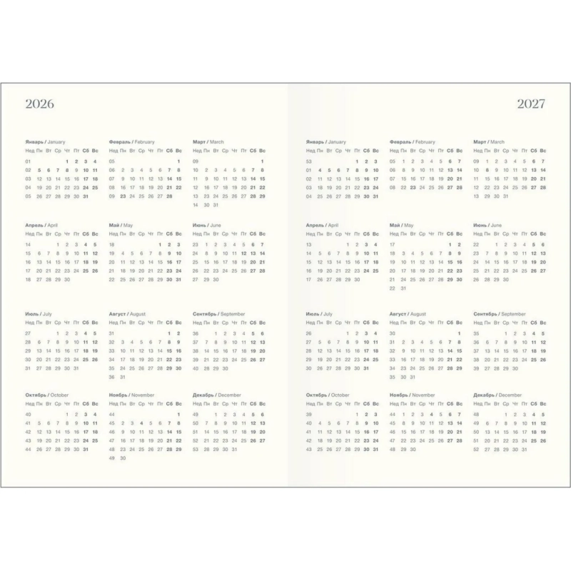 Ежедневник датированный 2026 IF 14х20см 176л, мягкий, Nightfall I1736/light