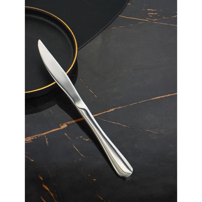 Ножи для стейка из нержавеющей стали Доляна, длина 23 см, толщина рабочей части 2,2 мм, толщина ручки 5 мм, 410 сталь, 3 шт Ножи для стейка из нержавеющей стали Доляна, длина 23 см, толщина рабочей части 2,2 мм, толщина ручки 5 мм, 410 сталь, 3 шт