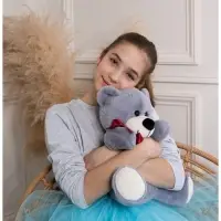 Мягкая игрушка &laquo;Медведь Мишаня&raquo;, цвет серый, 32 см