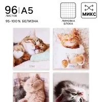 Тетрадь 96 листов в клетку Calligrata &laquo;Котики&raquo;, обложка мелованный картон, блок офсет, МИКС