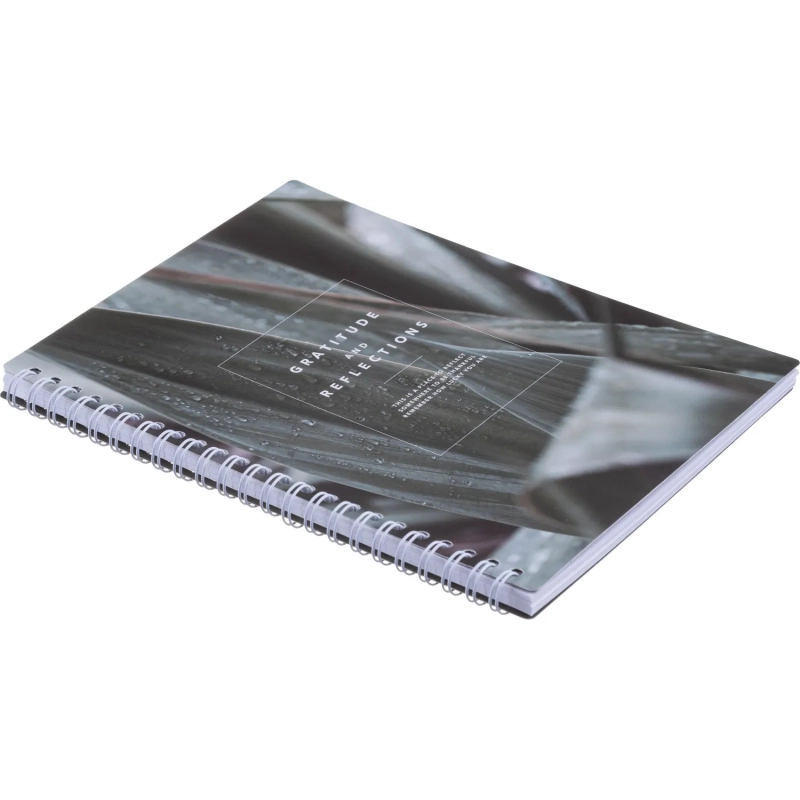 Бизнес-тетрадь, BS, А5, 80л., клетка, спираль. Botanica, агава N4185