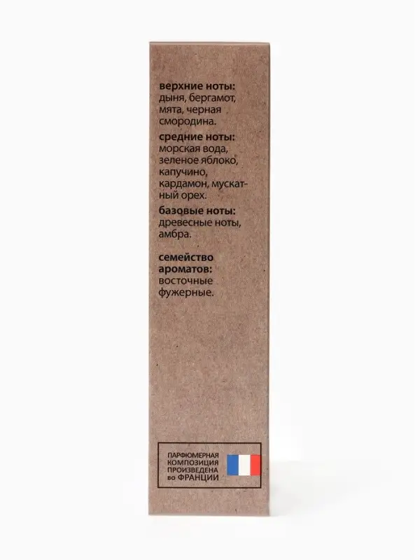 Туалетная вода мужская New Scent New Seduction, 100 мл