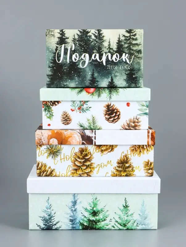 Набор подарочных новогодних коробок 10 в 1 «Новогодние мечты», 30×19×11.5 - 12×6.5×4 см Набор подарочных новогодних коробок 10 в 1 «Новогодние мечты», 30×19×11.5 - 12×6.5×4 см