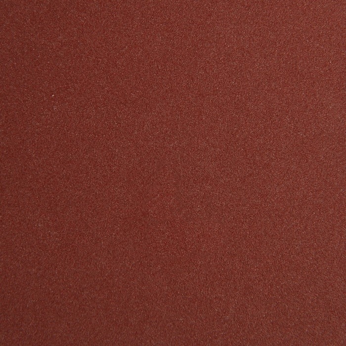 Круг абразивный шлифовальный под  Круг абразивный шлифовальный под "липучку" ТУНДРА, 125 мм, Р180, 10 шт.