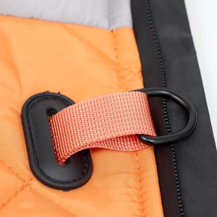 Куртка для больших собак, мембрана, 4XL (ДС 55, ОШ 53, ОГ 73см),серо-оранжевая