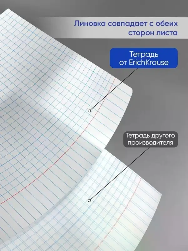 Тетрадь А4, 48 листов в клетку ErichKrause &laquo;Классика&raquo;, обложка мелованный картон, блок офсет 100% белизна, МИКС