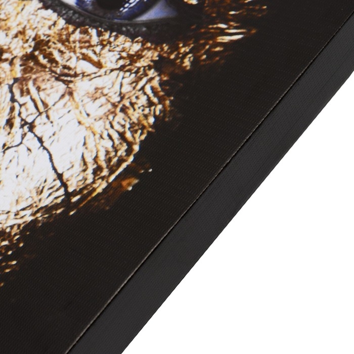 Картина-холст на подрамнике Картина-холст на подрамнике "Сияние" 50х70 см