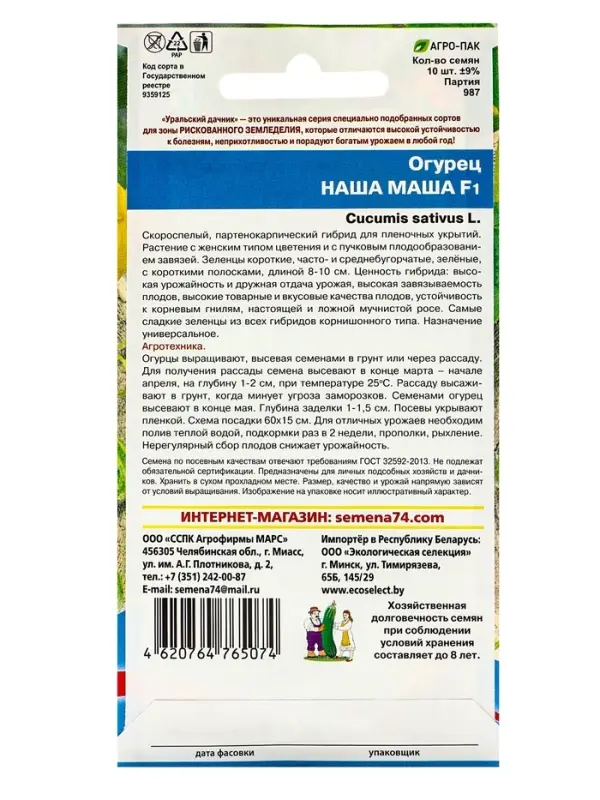 Семена Огурец Семена Огурец "Наша Маша" F1 раннеспелый, партенокарпический, 10 шт