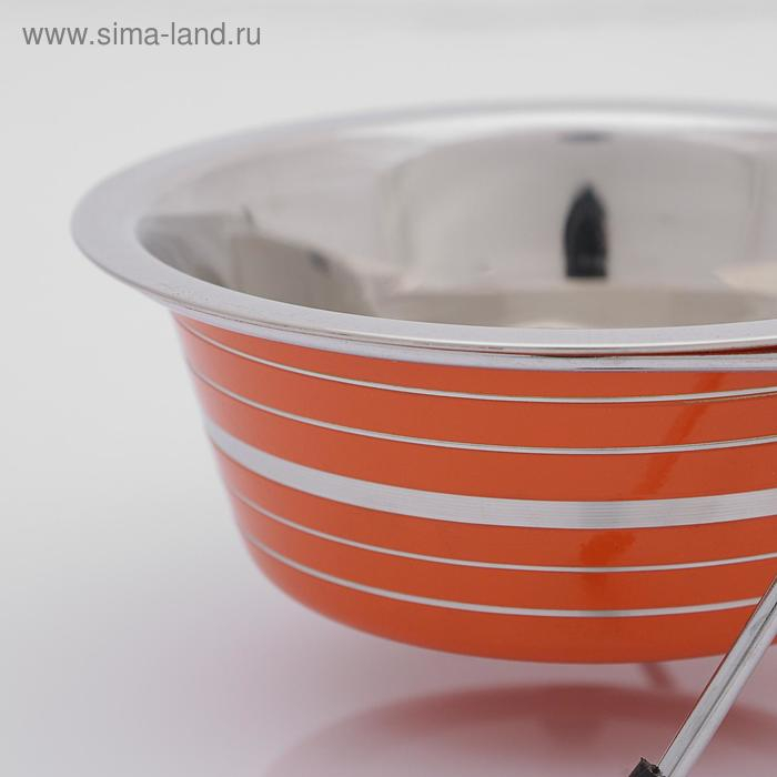 Набор из 2 цветных мисок на подставке, 2 х 350 мл Набор из 2 цветных мисок на подставке, 2 х 350 мл