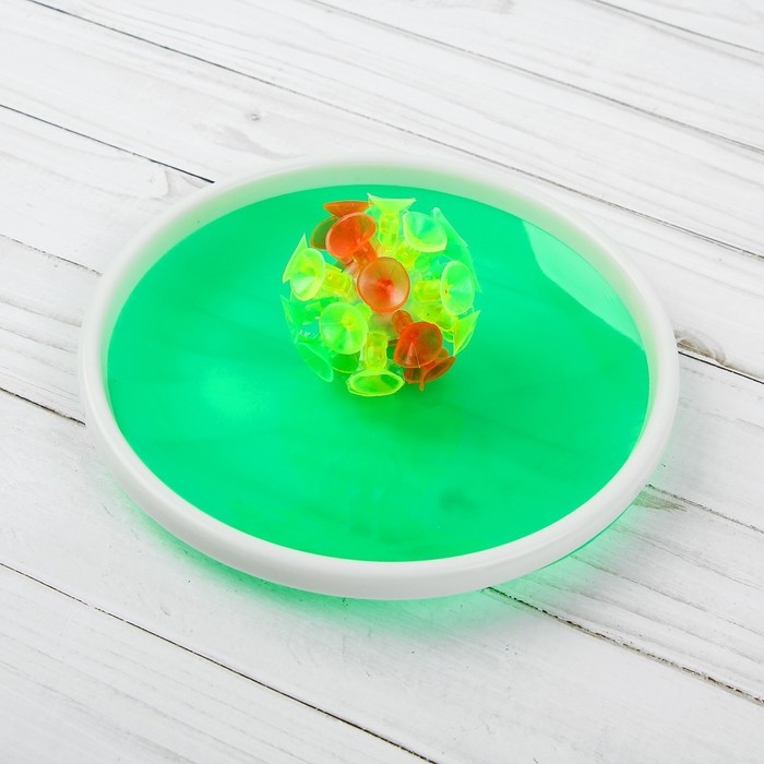 Игра «Липучка», набор: 2 тарелки, мяч, цвета МИКС Игра «Липучка», набор: 2 тарелки, мяч, цвета МИКС