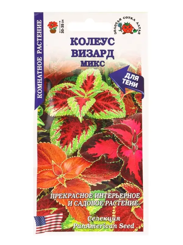 Семена Ком: Колеус Визард Микс /Сотка/ 10шт/ h-35см PanAm/*500 Семена Ком: Колеус Визард Микс /Сотка/ 10шт/ h-35см PanAm/*500