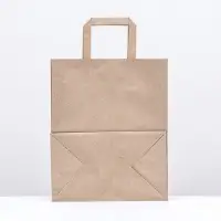 Пакет бумажный крафт, плоская ручка 24×14×29 см, 90 г/м²