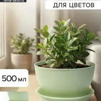 Горшок для цветов &laquo;Фиалочка&raquo;, 500 мл, d=12.5 см, h=7 см, пластиковый, зелёный
