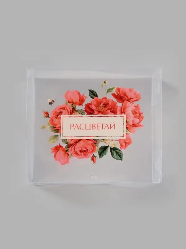 Коробка подарочная пластиковая с тишью и гирляндой &laquo;Расцветай&raquo;, 20&times;18&times;5 см