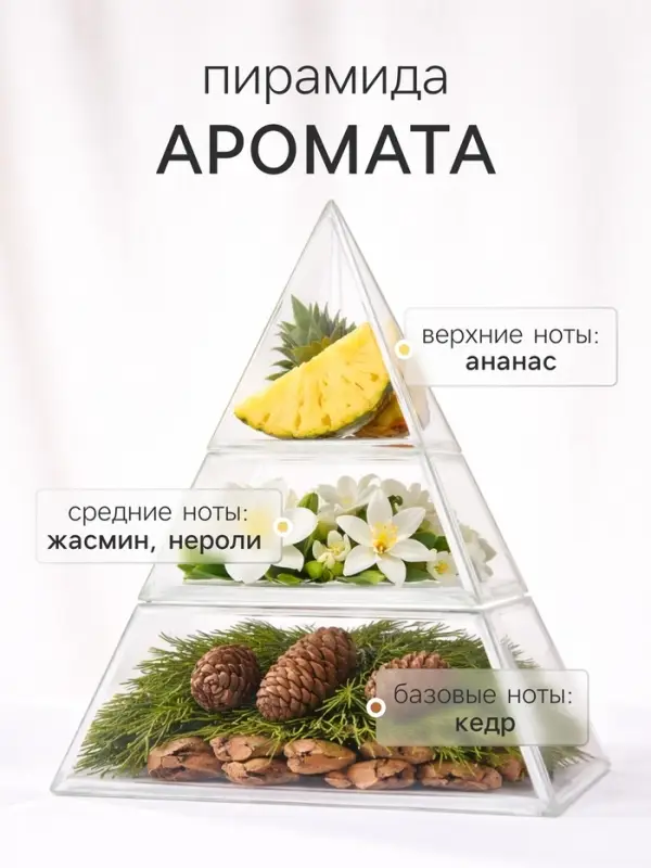 Наполнитель для ароматического диффузора XO The Glow, 100 мл