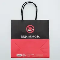 Пакет подарочный новогодний &laquo;Деда мороза не существует&raquo;, 22&times;22&times;11 см