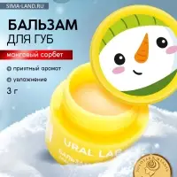Бальзам для губ, 3 г, аромат мангового сорбета, URAL LAB