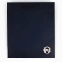 Пакет подарочный ламинированный, упаковка, &laquo;Ты лучший&raquo;, ML 23&times;27&times;11.5 см, цвет МИКС