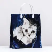 Пакет &laquo;Котенок на джинсах&raquo;, мягкий пластик, 26&times;23 см, 110 мкм